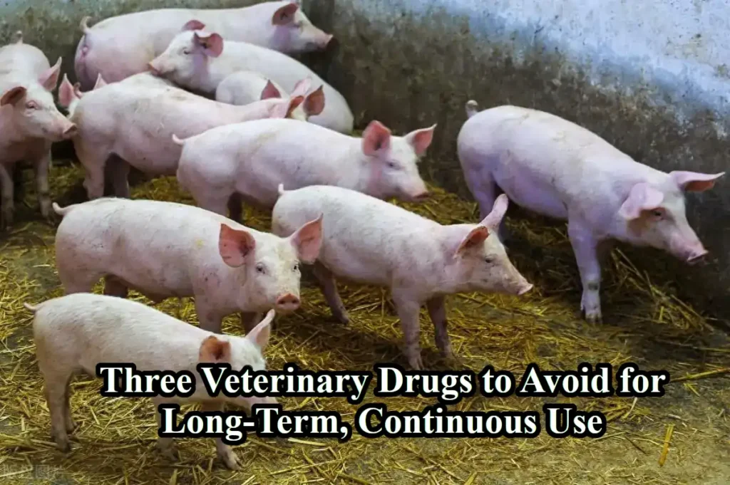 Three Veterinary Drugs to Avoid for Long-Term, Continuous Use